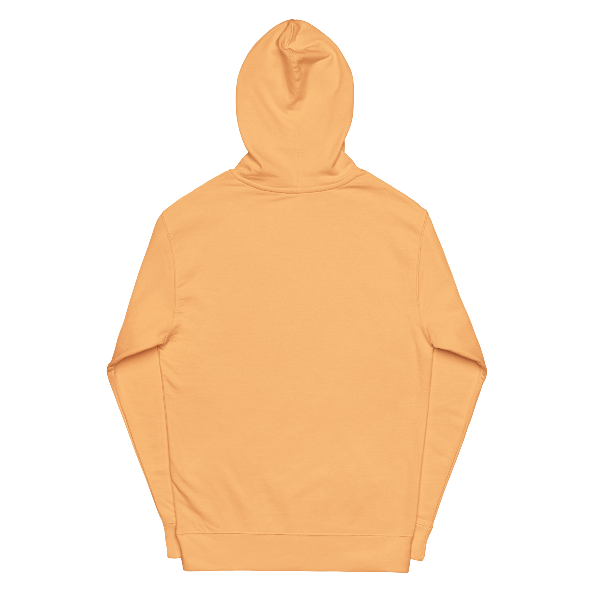 GOGGLES – Hoodie – Peach, Back view | Jesus Is Skiing