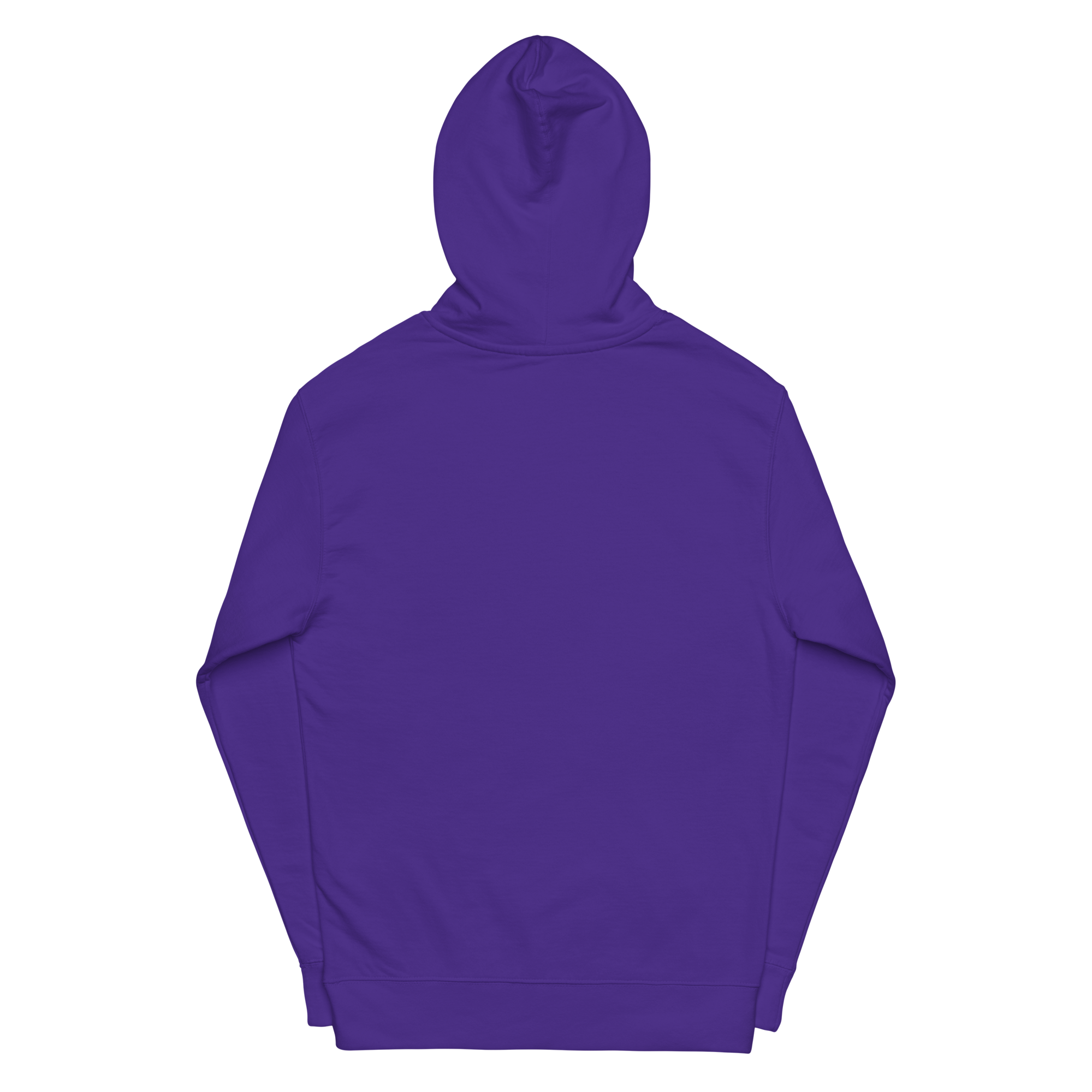 GOGGLES – Hoodie – Purple, Back view | Jesus Is Skiing